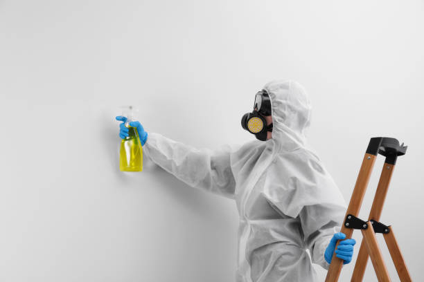 Why You Should Choose Our Mold Remediation Services in State Line, PA